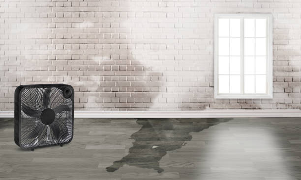 Best Flood damage cleanup  in Coalgate, OK
